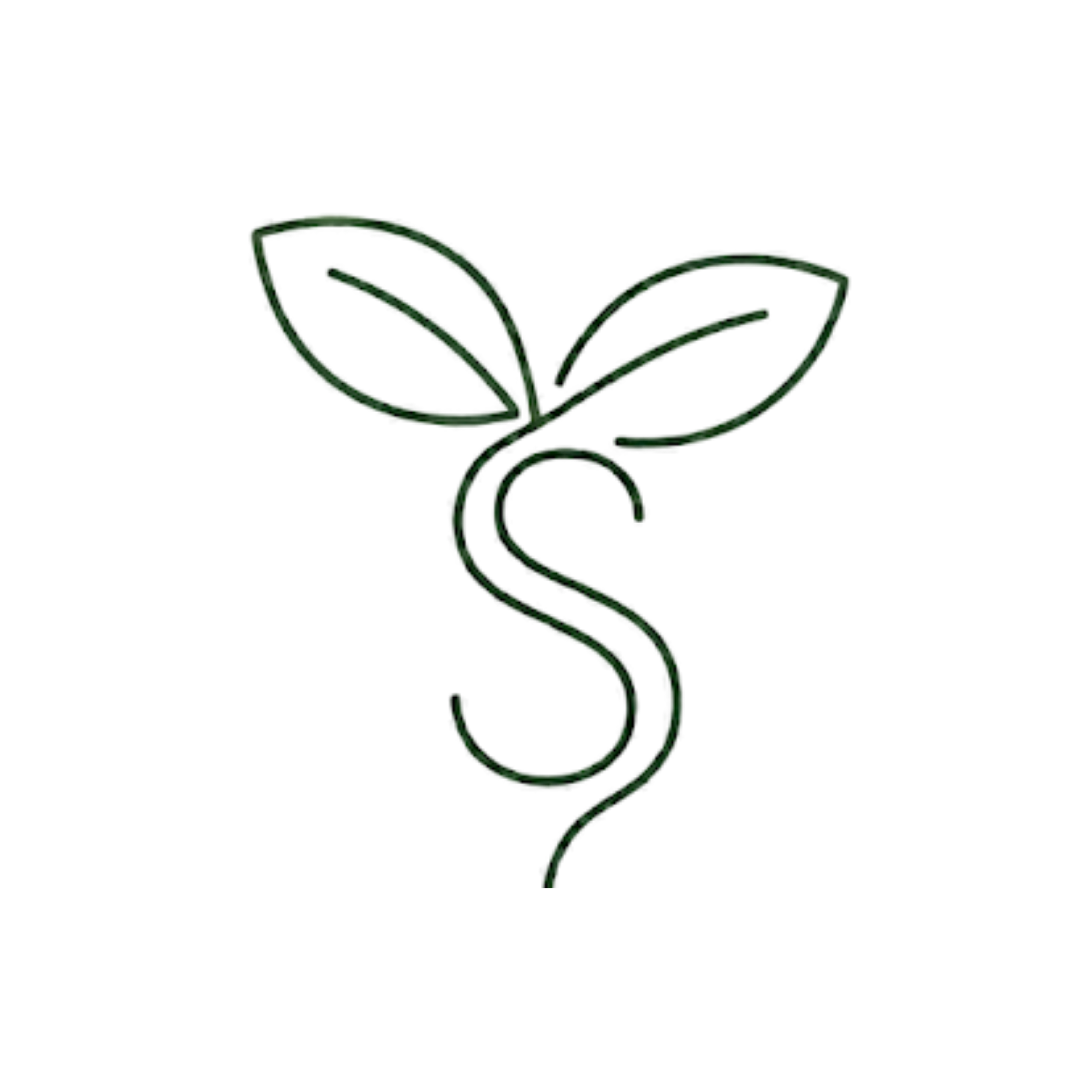 Sprout